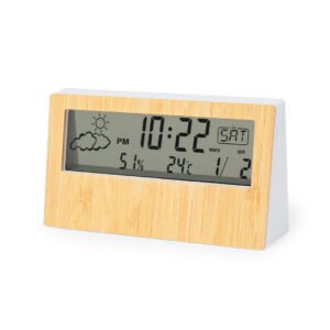 Stazione Meteorologica Roamer