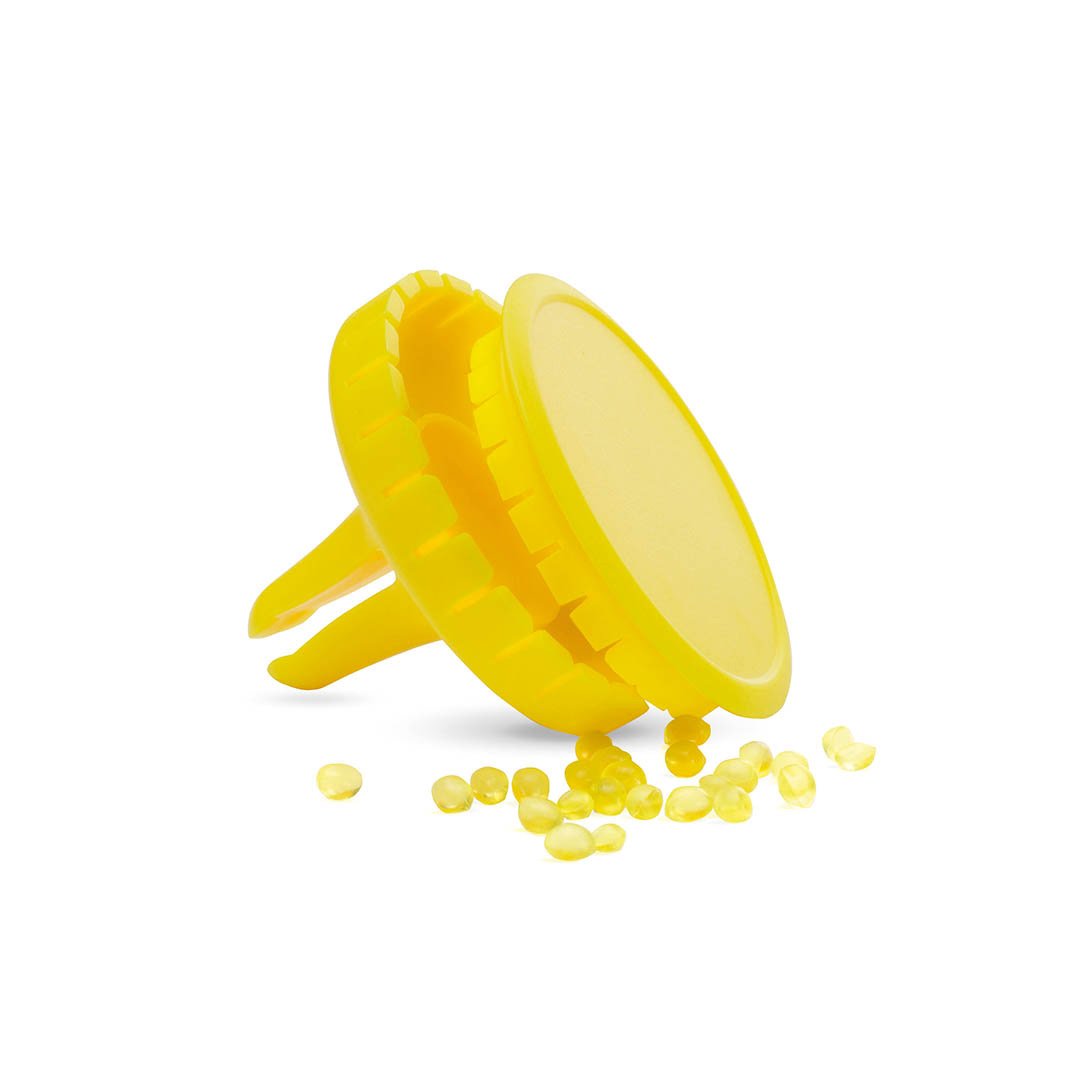 Scrib - immagine 2